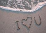 Sandi-