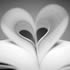 Liefdesproza.nl partner: Books for Singles